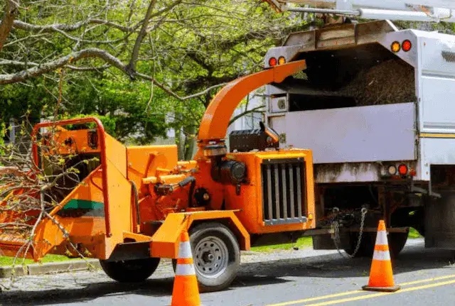 tree removal Buellton ca