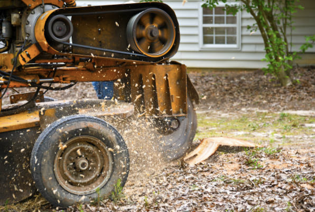 stump grinding Buellton ca